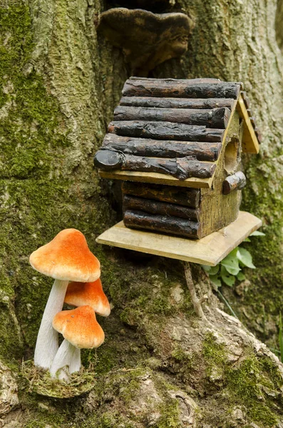 Birdhouse Mushroom Forest Scene — kuvapankkivalokuva