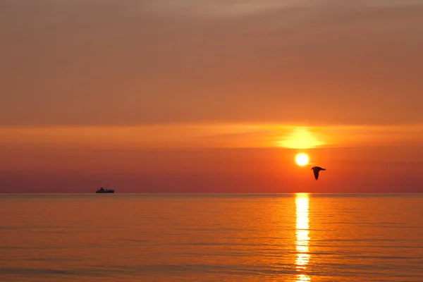 Восход Солнца Над Балтийским Морем — стоковое фото
