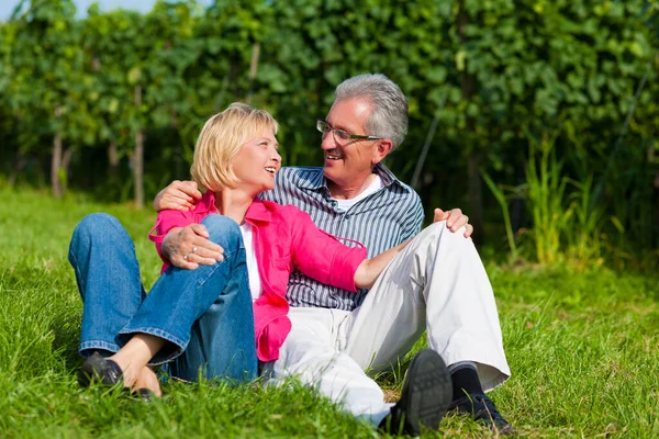 Feliz Pareja Ancianos Aire Libre — Foto de Stock