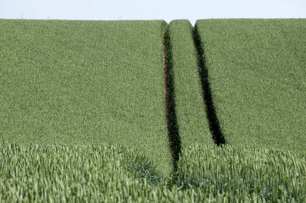 Schöne Aussicht Auf Die Natur — Stockfoto