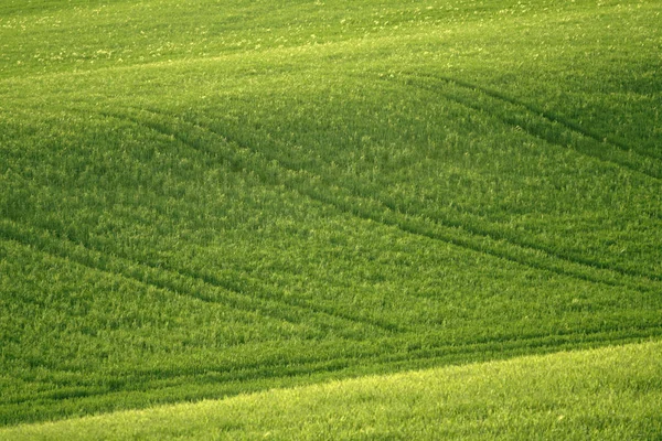 Agriculture Field Landscape Countryside Land — Stock Photo, Image