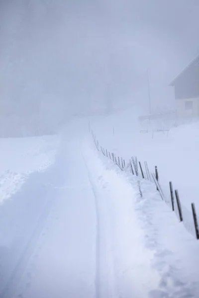 有雾的冬季道路 — 图库照片