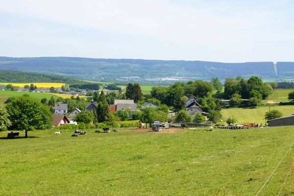 Landsliv Selektivt Fokus — Stockfoto