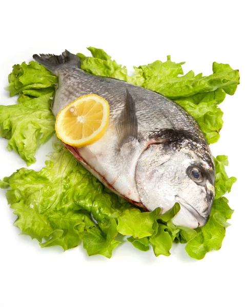 Dorada Sobre Ensalada Fresca Aislada Sobre Fondo Blanco —  Fotos de Stock