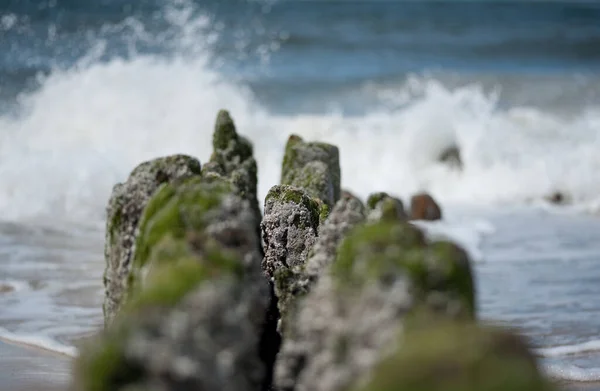 Sylt Una Isla Alemana Archipiélago Frisón Mar Del Norte — Foto de Stock