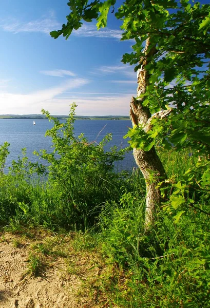 Zickersche Βουνά Θέα Bodden Και Reddevitzer Hoeft — Φωτογραφία Αρχείου