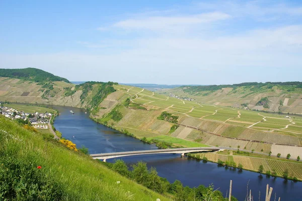 Moselle Met Piesport Van Het Wijndorp Aan Linkerkant — Stockfoto