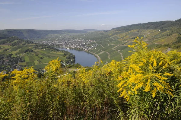 Vacker Utsikt Över Naturen Landskap — Stockfoto