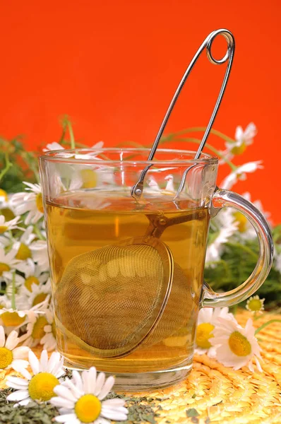 Herbata Rumiankowa Napój Ziołowy — Zdjęcie stockowe