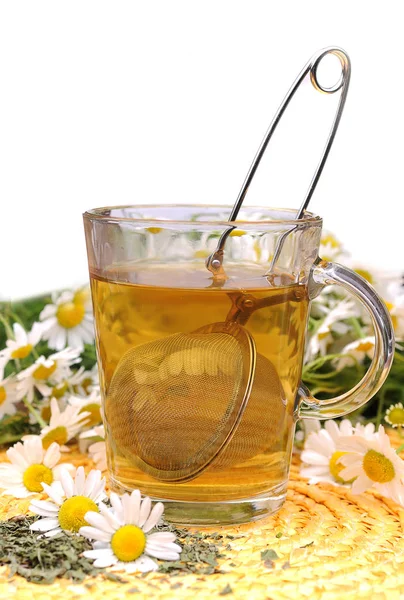 Chamomile Tea Herbal Drink — Stock Photo, Image