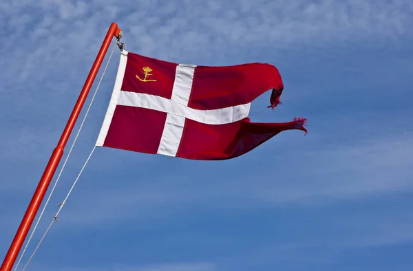 Daenische Flagge Danish Flag — 스톡 사진