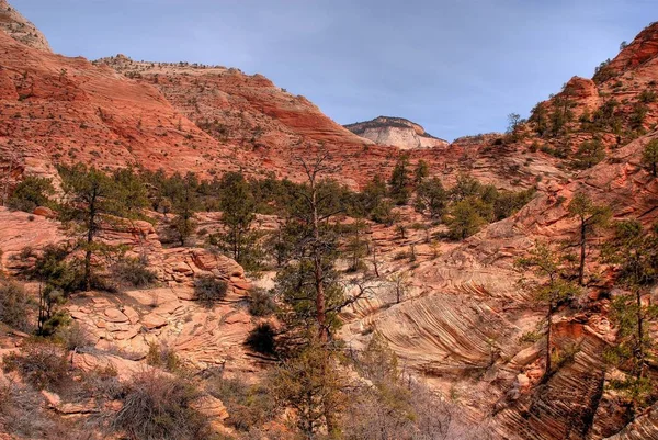 Parque Nacional Zion Utah Oeste Estados Unidos — Foto de Stock