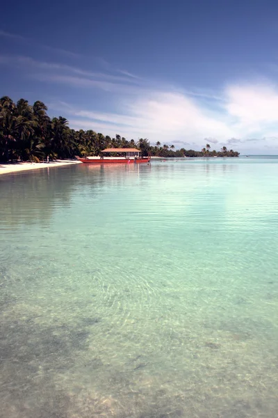 Playa Tropical Con Palmeras Cielo Azul — Foto de Stock