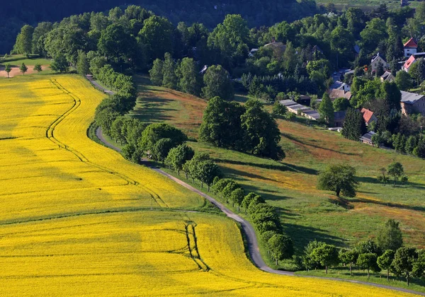 Живописный Вид Красивый Весенний Пейзаж — стоковое фото