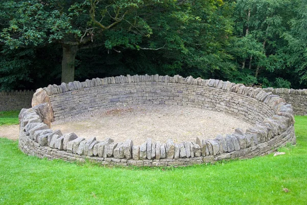 Egy Száraz Birka Toll Yorkshire Ben — Stock Fotó