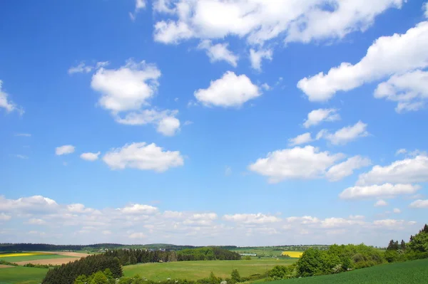 Blue Sky Green Landscape — Stockfoto