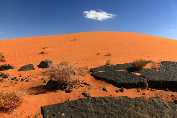 Zandwoestijn Duinlandschap — Stockfoto