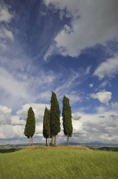 Hermoso Cielo Nublado Fondo — Foto de Stock