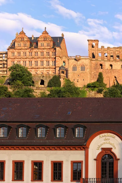 Heidelberg Bilim Akademisi — Stok fotoğraf