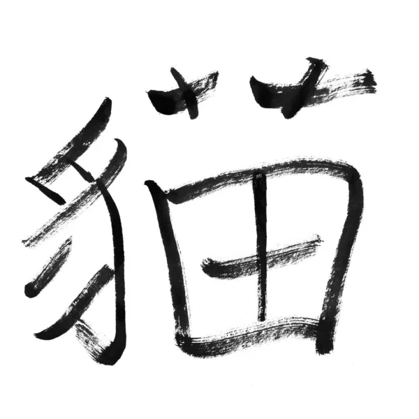 Macska Hagyományos Kínai Kalligráfia Művészet Elszigetelt Fehér Háttér — Stock Fotó