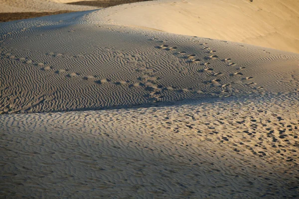 Sanddyner Maspalom Kanarieöarna Spanien — Stockfoto
