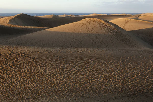 Sanddyner Maspalom Kanarieöarna Spanien — Stockfoto