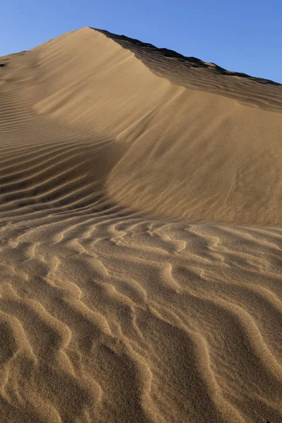 Αμμόλοφοι Του Maspalomas Στα Καναρίνια Νησιά Της Ισπανίας — Φωτογραφία Αρχείου