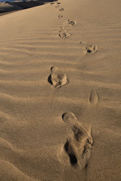 Voetafdrukken Het Zand — Stockfoto