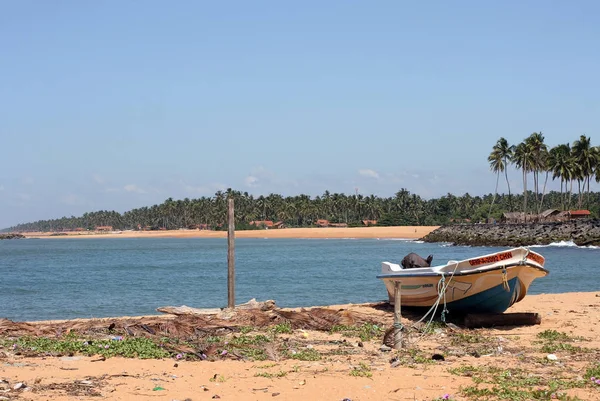 Egy Halászhajó Srí Lanka Homokos Strandján — Stock Fotó