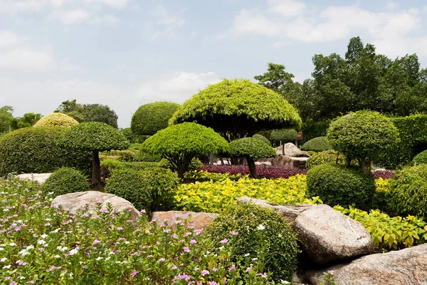 Japoński Ogród Uprawiana Botanika Parku Krajobrazowym Bangkok — Zdjęcie stockowe