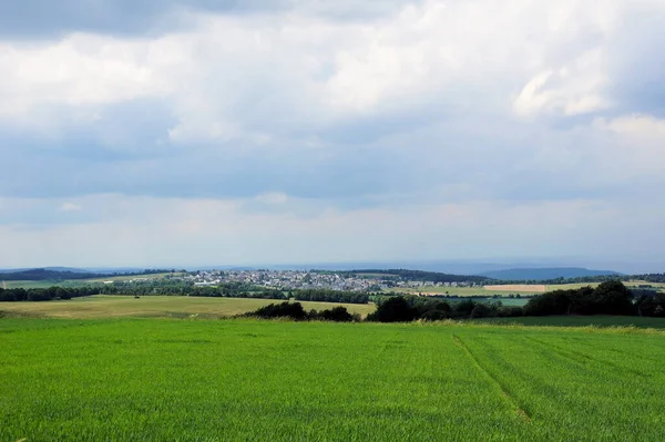 Paisaje Verano Con Hierba Verde Cielo Azul — Foto de Stock