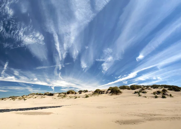 해변의 모래사장 — 스톡 사진