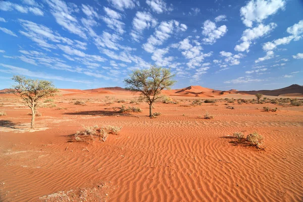 Deserto Sabbioso Paesaggio Dunistico — Foto Stock