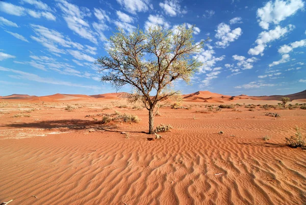 Песчаная Пустыня Дюнный Пейзаж — стоковое фото