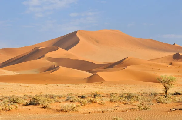 Zicht Woestijnlandschap Namibië — Stockfoto