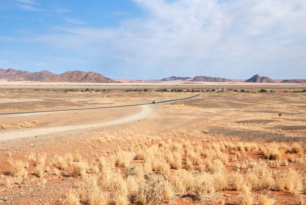 Désert Namibie Afrique — Photo