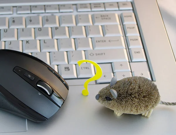 Комп Ютерна Клавіатура Дві Різні Миші — стокове фото
