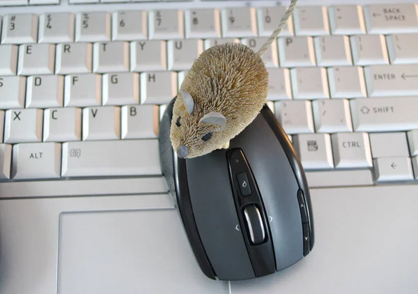 Computer Keyboard Two Mouse — Stock Photo, Image