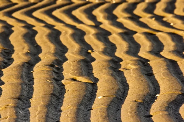 Linien Sand Vom Meer Und Den Gezeiten Geformt Γραμμές Στην — Φωτογραφία Αρχείου