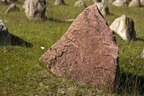 フィールド内の石のAuf Einer Wiese Stones — ストック写真