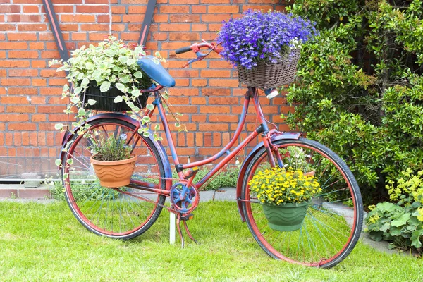 Bicicleta Como Decoração Quintal Frontal — Fotografia de Stock