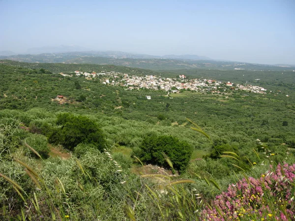 橄榄种植园和山村 — 图库照片