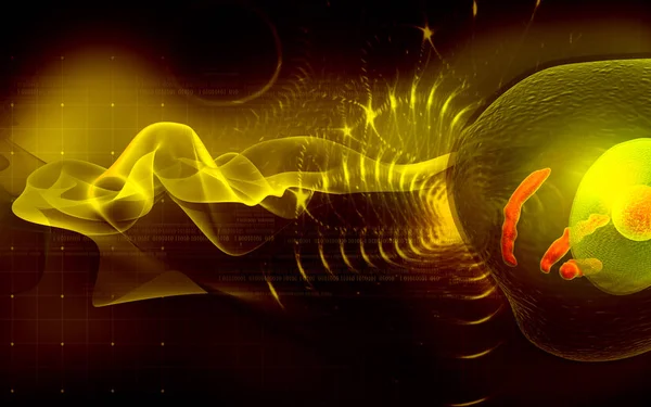 Цифровая Иллюстрация Клеток Человека Цветном Фоне — стоковое фото