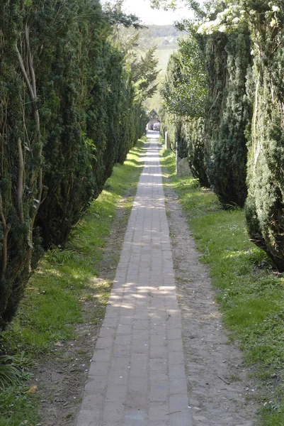 Pathway Churchyard Church Saint Peter Saint Paul Shoreham Sevenoaks Kent — 스톡 사진