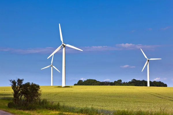 Turbiny Wiatrowe Polu Dobrej Pogodzie — Zdjęcie stockowe