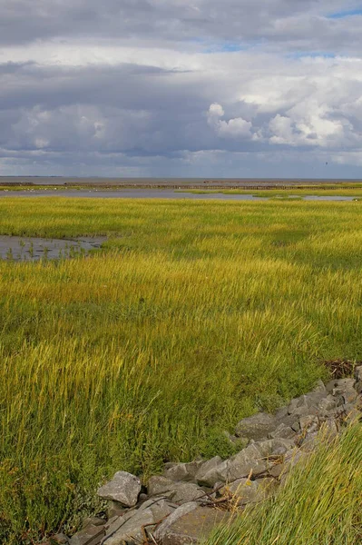 Waddenské Moře Severní Moře — Stock fotografie