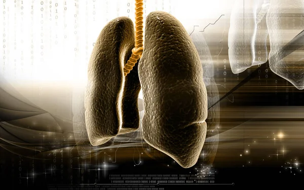 Digital Illustration Human Lungs Colour Background — Stockfoto