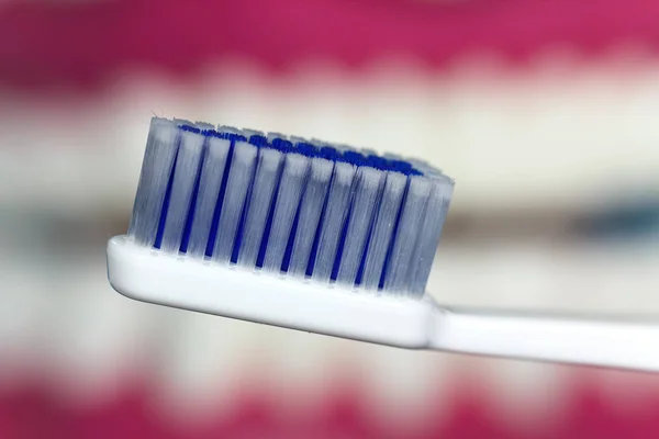 Zähneputzen Mit Der Zahnbürste — Stockfoto