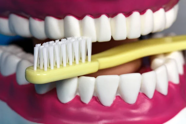 Mycie Zębów Szczoteczką Zębów — Zdjęcie stockowe