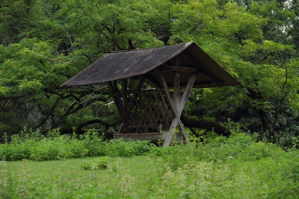 Gazebo Madera Con Una Planta Verde Suelo —  Fotos de Stock